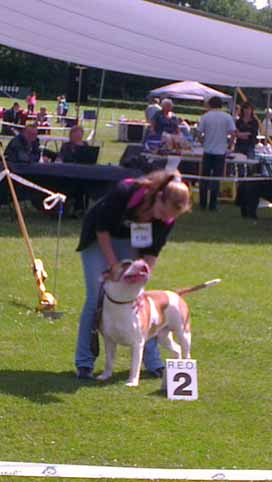 Zomershow 15 juni 2013 